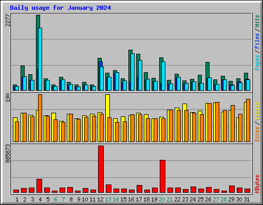 Daily usage for January 2024