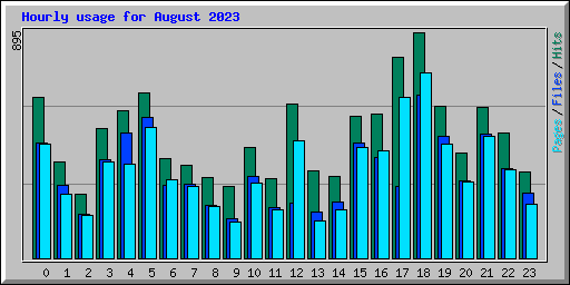 Hourly usage for August 2023