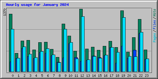 Hourly usage for January 2024