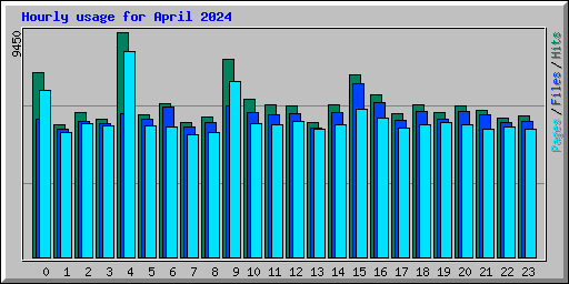 Hourly usage for April 2024