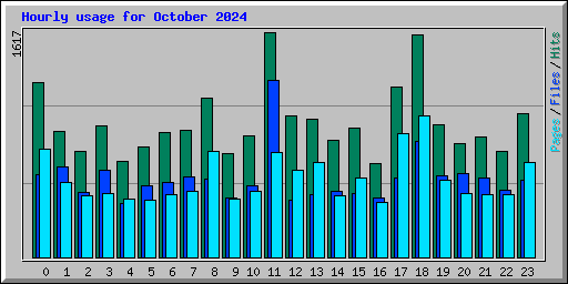 Hourly usage for October 2024