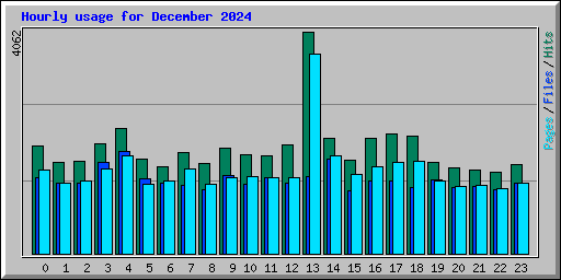 Hourly usage for December 2024