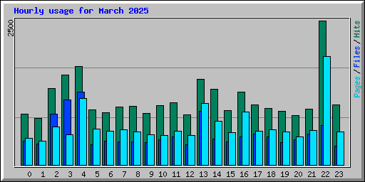 Hourly usage for March 2025