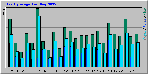Hourly usage for May 2025