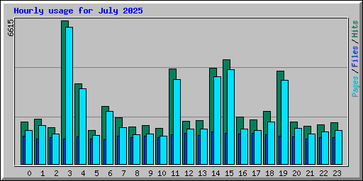Hourly usage for July 2025