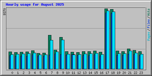 Hourly usage for August 2025