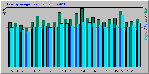 Hourly usage for January 2026