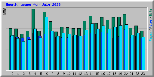 Hourly usage for July 2026