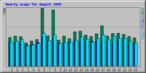 Hourly usage for August 2026