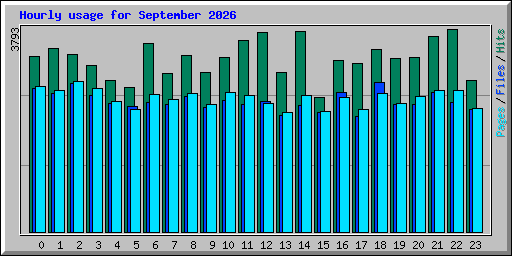 Hourly usage for September 2026